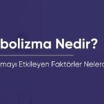 Metabolizma Nedir? Metabolizmanızı Yeniden Dengeye Kavuşturmak İçin Gerekenler
